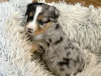 processed/e64b04ad-3050-471d-b0b2-bbe1ba7b2ec5/listing/e619be8a-aade-49b6-8298-e1849fced21a/51766626-87f2-457c-9d9e-dd27df7db061