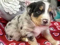 processed/e64b04ad-3050-471d-b0b2-bbe1ba7b2ec5/listing/e619be8a-aade-49b6-8298-e1849fced21a/5d2262a6-6725-4386-ab1e-93acadb6798f