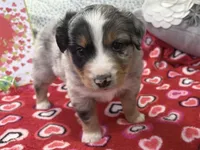 processed/e64b04ad-3050-471d-b0b2-bbe1ba7b2ec5/listing/e619be8a-aade-49b6-8298-e1849fced21a/73cd8b81-4c57-4d93-82fa-5267e61fd20b