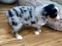 processed/e64b04ad-3050-471d-b0b2-bbe1ba7b2ec5/listing/e619be8a-aade-49b6-8298-e1849fced21a/73db64fa-1478-4a00-adfc-dc7c2636e0c9