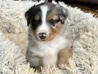 processed/e64b04ad-3050-471d-b0b2-bbe1ba7b2ec5/listing/e619be8a-aade-49b6-8298-e1849fced21a/98751045-555c-4f8e-81fa-c03c3c50aef0