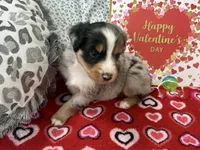 processed/e64b04ad-3050-471d-b0b2-bbe1ba7b2ec5/listing/e619be8a-aade-49b6-8298-e1849fced21a/a32b49a8-eea1-4a98-84c1-584367b5e77e