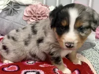 processed/e64b04ad-3050-471d-b0b2-bbe1ba7b2ec5/listing/e619be8a-aade-49b6-8298-e1849fced21a/b7722f5f-2504-4088-9c59-ab15a1c56065