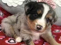 processed/e64b04ad-3050-471d-b0b2-bbe1ba7b2ec5/listing/e619be8a-aade-49b6-8298-e1849fced21a/e698c270-143b-43d5-a702-523ecac7047b