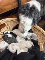 processed/e65aac74-9320-46df-98c6-3fd9707c3996/facility/2dcc54a4-e582-49d0-aec2-c6c399a9265b