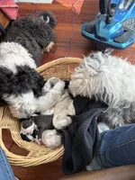 processed/e65aac74-9320-46df-98c6-3fd9707c3996/facility/9dd30989-575b-4f80-bc39-5c896685ac03