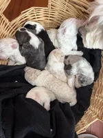 processed/e65aac74-9320-46df-98c6-3fd9707c3996/facility/c888b6ed-e6f8-465b-9830-623d0febf8b7