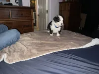 processed/e65aac74-9320-46df-98c6-3fd9707c3996/listing/d80850b6-d366-46b6-9904-185e335f3f89/18c019d5-5de2-45f1-85db-0d9c40d47cfd