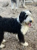 processed/e65aac74-9320-46df-98c6-3fd9707c3996/listing/d80850b6-d366-46b6-9904-185e335f3f89/2b46f036-3980-4632-9615-0794253b82d3