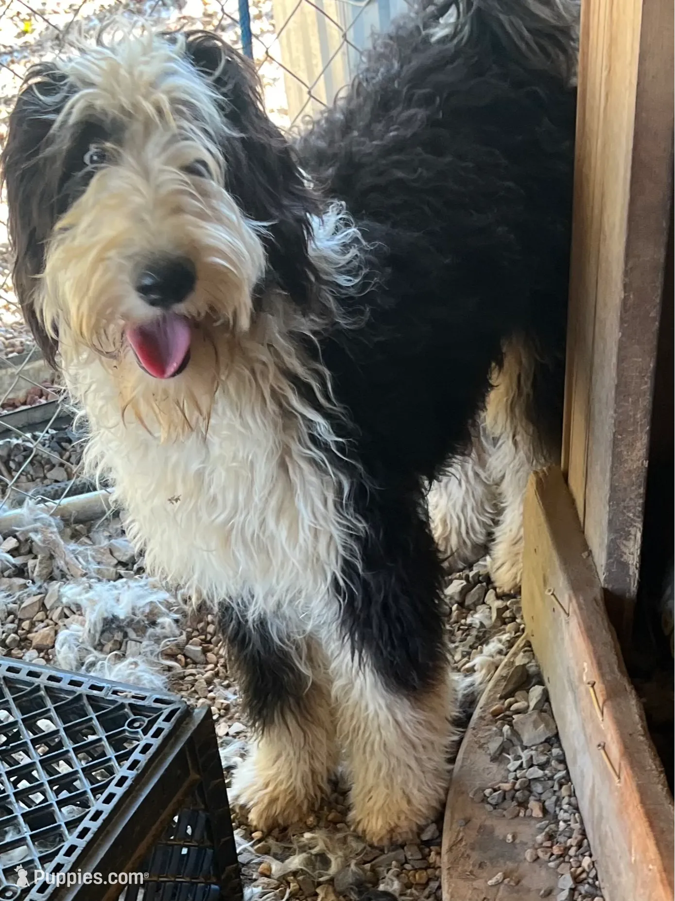 processed/e65aac74-9320-46df-98c6-3fd9707c3996/listing/d80850b6-d366-46b6-9904-185e335f3f89/7067c148-7959-49b1-a789-d0c427830964