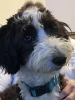 processed/e65aac74-9320-46df-98c6-3fd9707c3996/listing/d80850b6-d366-46b6-9904-185e335f3f89/aacf2c67-bd89-4a56-b5e5-8663897a1839