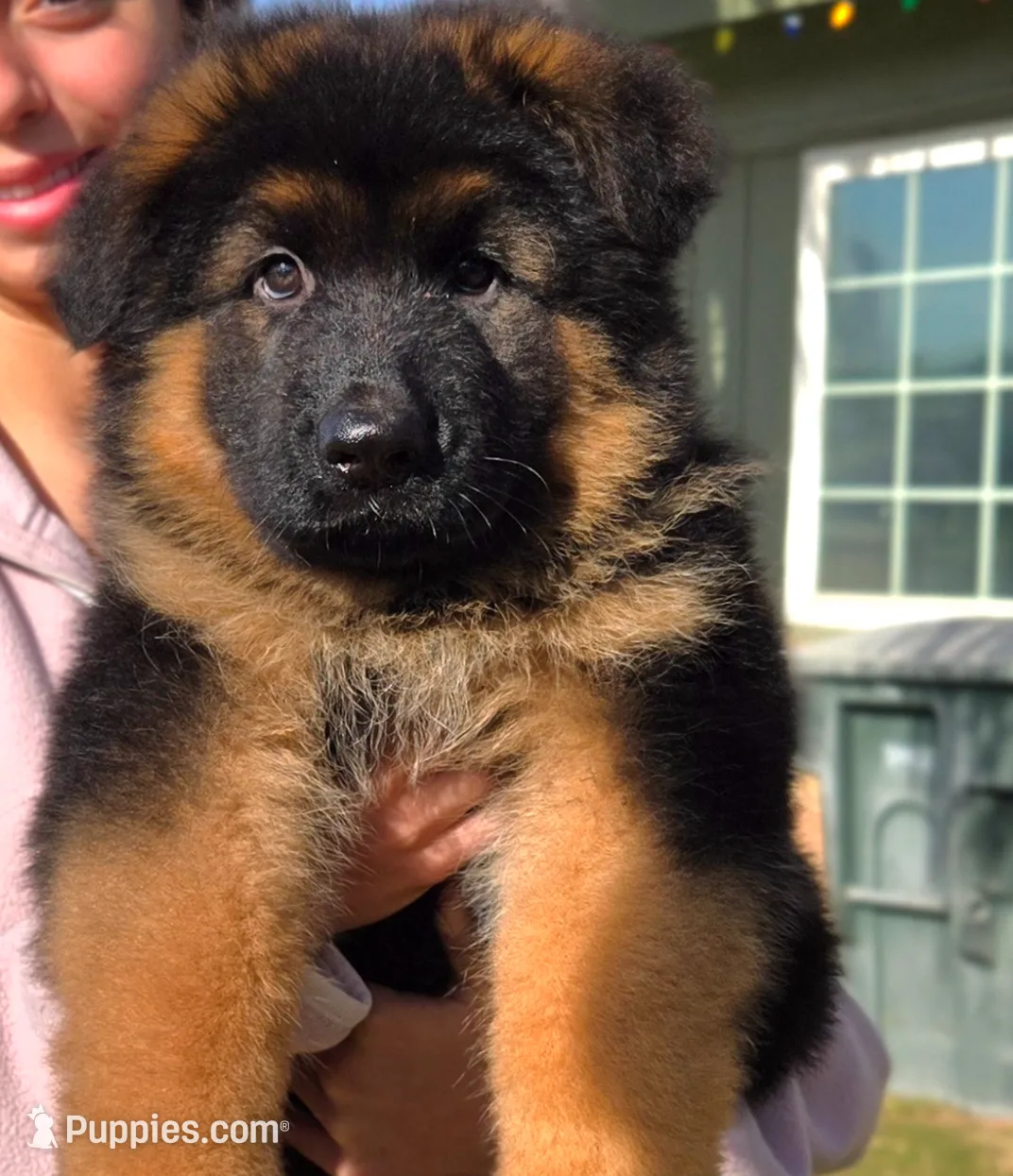 processed/e6664c9a-1089-4daa-b314-e95039be3a06/listing/aa0250f0-dfb6-403e-b8d0-e50f8d531f64/dbc4a62b-19da-4f21-b5e6-75de784acb95