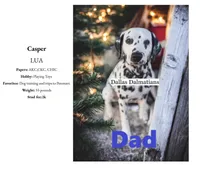 Pink, a female Dalmatian for sale in Denton, TX – 3 of 5