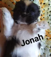 processed/e66be8df-8d84-4179-9107-544b7d28e74c/facility/43e5316f-89c4-450d-85a8-28cfa83c0740