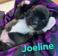 processed/e66be8df-8d84-4179-9107-544b7d28e74c/facility/4c22b677-5556-4736-9362-0838667e670d