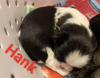 processed/e66be8df-8d84-4179-9107-544b7d28e74c/facility/82f40d4e-4c27-47d9-bcc9-274bdeda013e