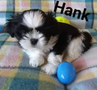 processed/e66be8df-8d84-4179-9107-544b7d28e74c/facility/b79f7f0b-d475-4109-8d04-800b9e908318