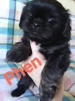 processed/e66be8df-8d84-4179-9107-544b7d28e74c/facility/df49c43b-1dbe-415d-84d6-e64d81d7c4ce