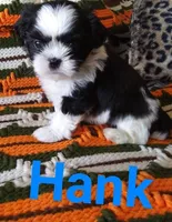 processed/e66be8df-8d84-4179-9107-544b7d28e74c/facility/eeb17939-1001-4d0d-8e67-dd295b851baf