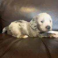 processed/e66fcdf2-a983-4500-8599-70d5742fdf22/facility/27bd1490-a198-4f27-888c-ab59f15fbe8e