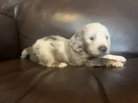 processed/e66fcdf2-a983-4500-8599-70d5742fdf22/facility/27bd1490-a198-4f27-888c-ab59f15fbe8e