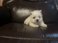 processed/e66fcdf2-a983-4500-8599-70d5742fdf22/facility/2a791850-51e1-4037-8069-afa8abfc9452