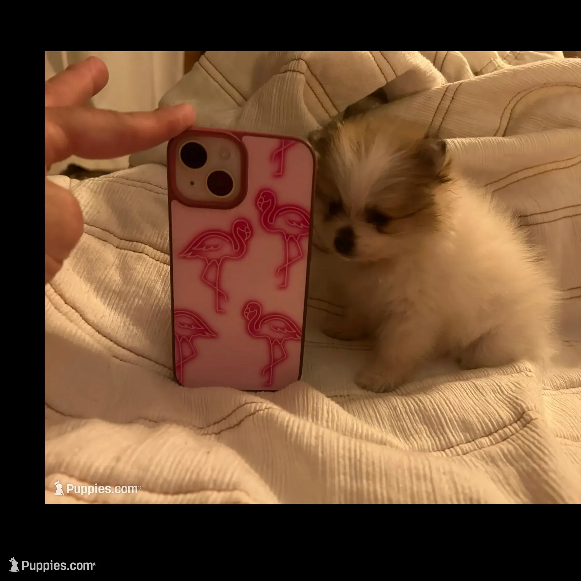 processed/e66fcdf2-a983-4500-8599-70d5742fdf22/facility/3fe470d7-562b-42eb-9a48-359075d78ca1