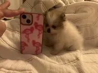 processed/e66fcdf2-a983-4500-8599-70d5742fdf22/facility/3fe470d7-562b-42eb-9a48-359075d78ca1