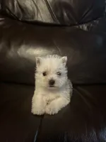 processed/e66fcdf2-a983-4500-8599-70d5742fdf22/facility/499d5028-2475-4bbc-8571-68fc378deffc