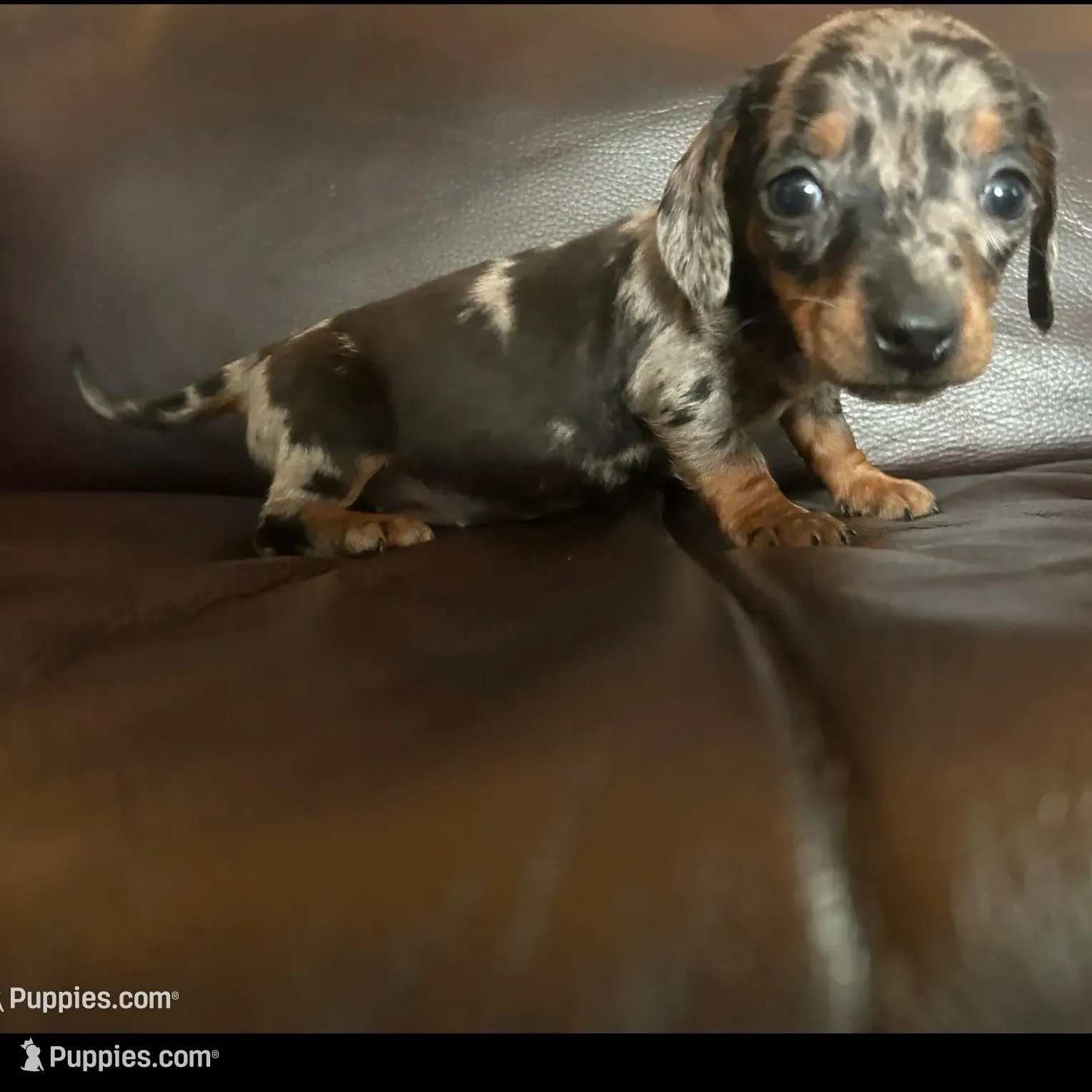 processed/e66fcdf2-a983-4500-8599-70d5742fdf22/facility/4fa9aa0e-7c0d-4a13-ab4b-1ac26d975ae2