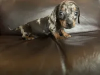 processed/e66fcdf2-a983-4500-8599-70d5742fdf22/facility/4fa9aa0e-7c0d-4a13-ab4b-1ac26d975ae2