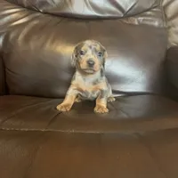 processed/e66fcdf2-a983-4500-8599-70d5742fdf22/facility/6588e8d4-1083-49c3-9986-46816ed8975a