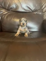 processed/e66fcdf2-a983-4500-8599-70d5742fdf22/facility/6588e8d4-1083-49c3-9986-46816ed8975a