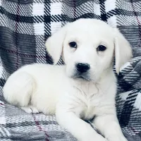 processed/e66fcdf2-a983-4500-8599-70d5742fdf22/facility/ad6f0814-8e2d-4ae0-8786-a8aff2e6b350