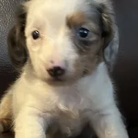 processed/e66fcdf2-a983-4500-8599-70d5742fdf22/facility/ba1785ba-0a98-474b-9387-26538c1a56e9