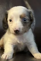 processed/e66fcdf2-a983-4500-8599-70d5742fdf22/facility/ba1785ba-0a98-474b-9387-26538c1a56e9