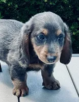 processed/e66fcdf2-a983-4500-8599-70d5742fdf22/facility/c482c9c6-43d2-41e2-9c1b-d92c76e78a4f