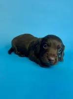 processed/e67737e4-6cc9-4ab8-a4bd-cb3f219bc4bf/listing/44a7b674-7b9f-4ba6-b518-97957cf2b91d/e680c835-9c01-4a1b-8c79-e9e81c6c4470