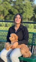 Tommy, a male Poodle - Toy  for sale in Haines City, FL – 3 of 5