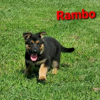 processed/e68b3f1b-eb58-4a5d-a40b-736139e8aafa/facility/0dffa783-2601-4131-9a91-dd2add281271