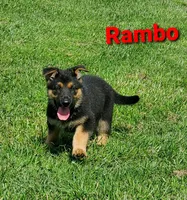 processed/e68b3f1b-eb58-4a5d-a40b-736139e8aafa/facility/0dffa783-2601-4131-9a91-dd2add281271