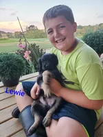 processed/e68b3f1b-eb58-4a5d-a40b-736139e8aafa/facility/1c10844b-1bcc-4d75-9a3b-7f771a77302d