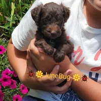 processed/e68b3f1b-eb58-4a5d-a40b-736139e8aafa/facility/4ab0f4d1-c4ca-4687-b5d3-8a9320d73486