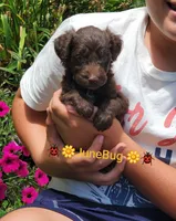 processed/e68b3f1b-eb58-4a5d-a40b-736139e8aafa/facility/4ab0f4d1-c4ca-4687-b5d3-8a9320d73486