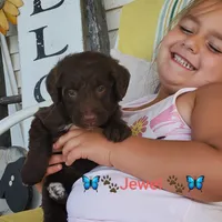 processed/e68b3f1b-eb58-4a5d-a40b-736139e8aafa/facility/4bbdb7ea-8cea-45a1-9bf3-cf8679ada237