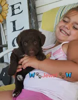 processed/e68b3f1b-eb58-4a5d-a40b-736139e8aafa/facility/4bbdb7ea-8cea-45a1-9bf3-cf8679ada237