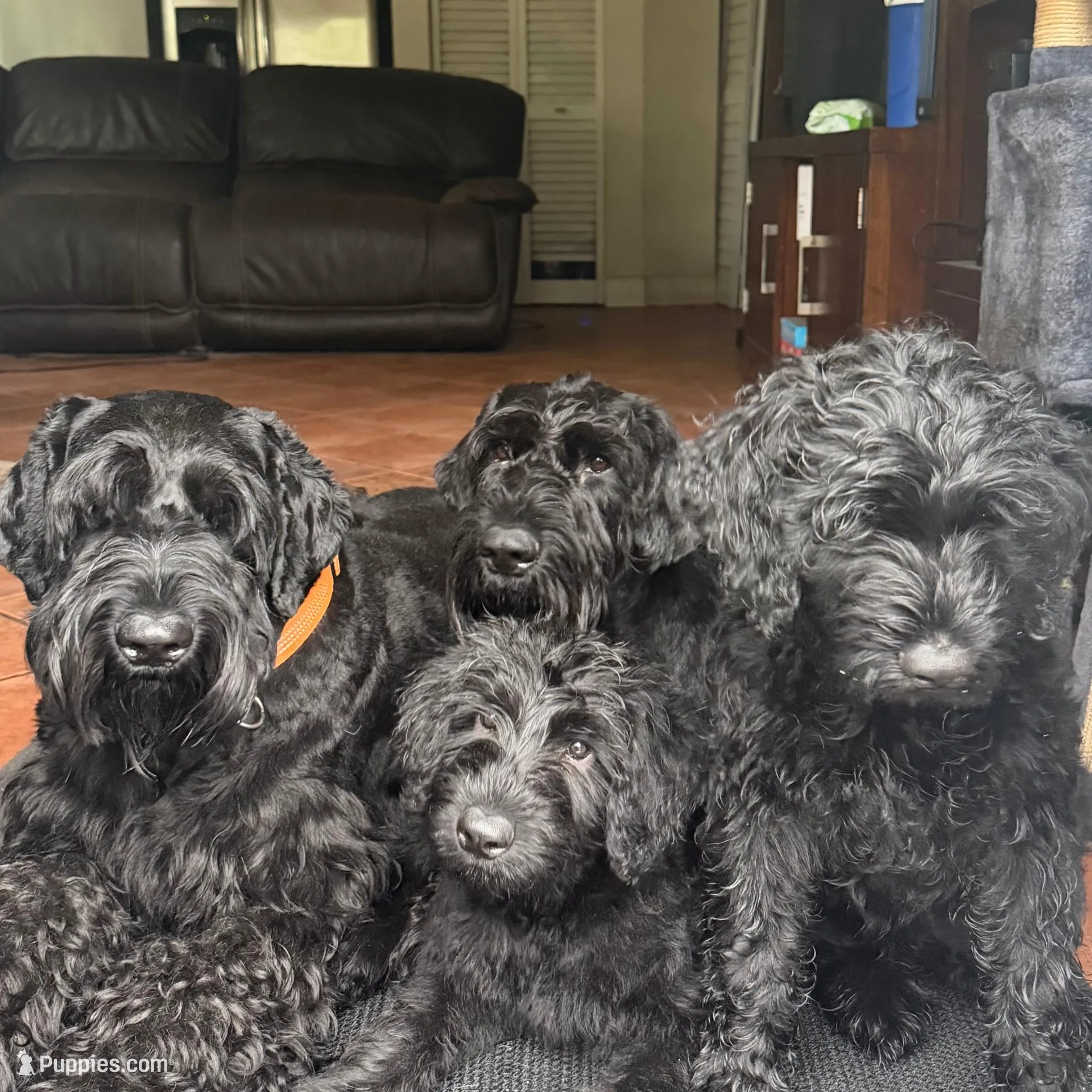 processed/e69686dd-881f-46cc-930e-d04e128aebde/facility/11e6b56b-3cad-4dac-8212-926d6d005681