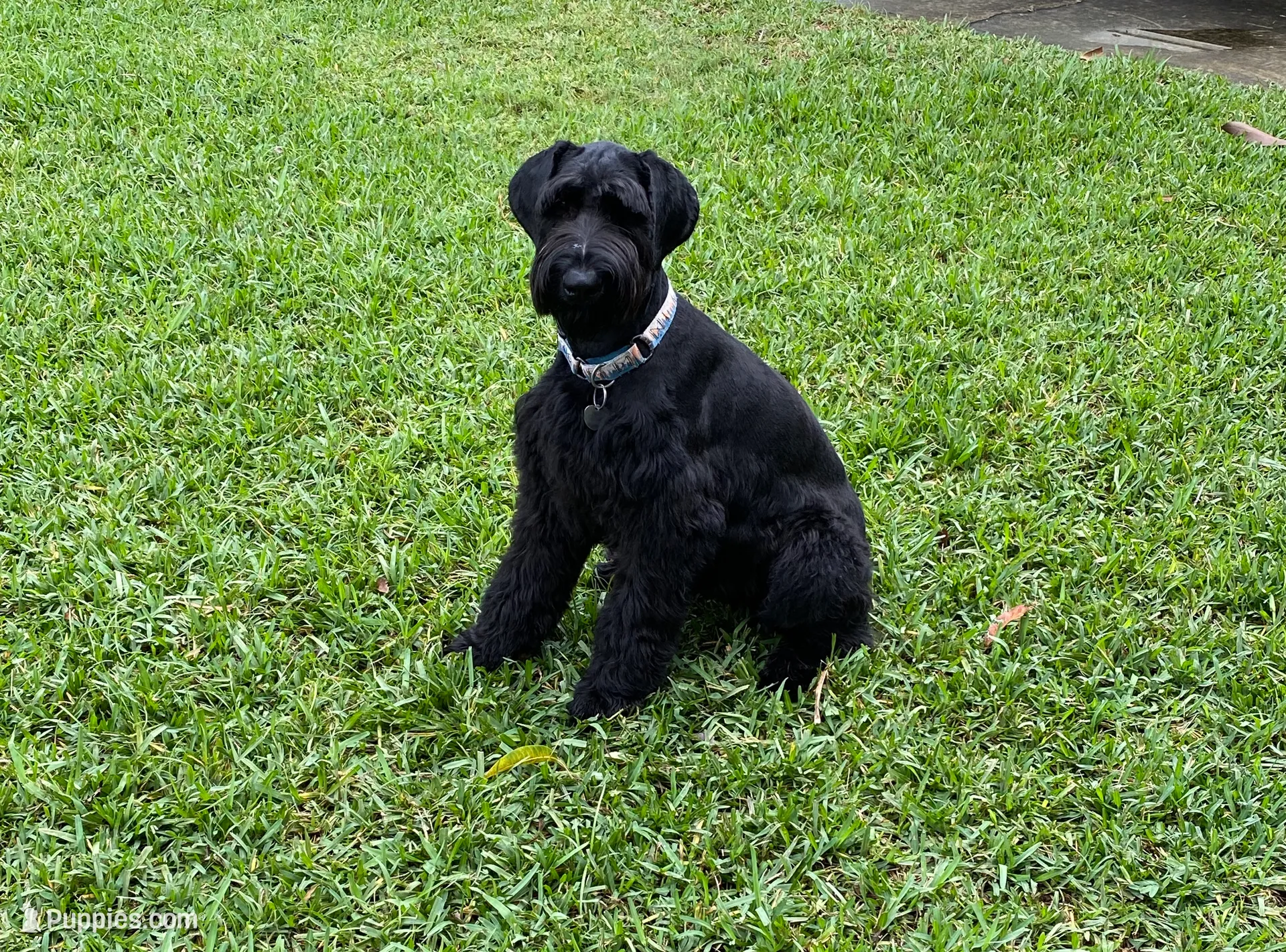 processed/e69686dd-881f-46cc-930e-d04e128aebde/facility/33a9c3c2-b565-42f2-9026-92a247c2a2b9