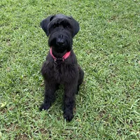 processed/e69686dd-881f-46cc-930e-d04e128aebde/facility/785b922e-ebef-40a9-b5d3-02d3adf76f01