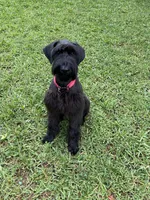 processed/e69686dd-881f-46cc-930e-d04e128aebde/facility/785b922e-ebef-40a9-b5d3-02d3adf76f01